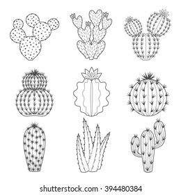 Cactus Collection Sketchy Style Illustration Succulent Stock Vector ...