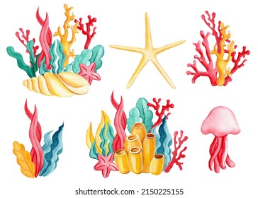 Set Coral, Starfish, Jellyfish And Algae On An Isolated White Background. Watercolor Drawing