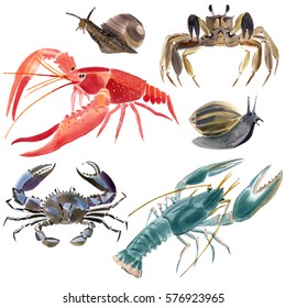 Set Crustaceans Watercolor Illustration White Background Stock ...