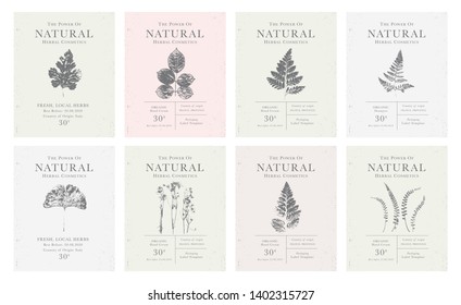 Set of customizable labels of Natural organic herbal products. Vintage packaging design collection for Cosmetics, Pharmacy, healthy food. Dried leaves, real herbarium