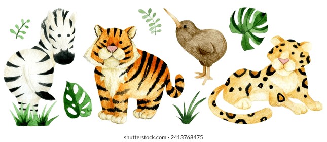 set of cute animals, safari. watercolor drawing tiger, leopard, zebra, kiwi bird