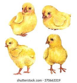 Set of cute watercolor yellow chicks isolated on a white background, Easter watercolor illustration