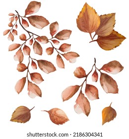 set dead leaves branch  autumn dry leaves watercolor illustration