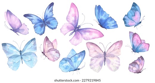 Un conjunto delicadas mariposas
