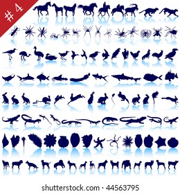 Set of  different animals, birds, insects and fishes  silhouettes