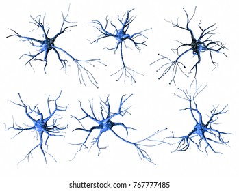 2,917 Neuron 3d White Background Images, Stock Photos & Vectors ...