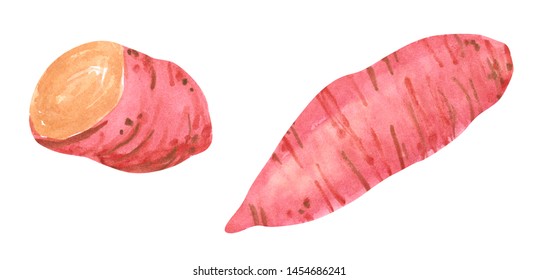 Set Of Different Vegetables, Hand Drawn Watercolor Illustration. Sweet Potato And French Fries. Can Be Used For Menu And Recipe Design.