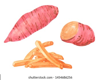 Set Of Different Vegetables, Hand Drawn Watercolor Illustration. Sweet Potato And French Fries. Can Be Used For Menu And Recipe Design.