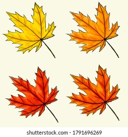 Set of Digital sketch maple leaf. Black doodle outline, orange, yellow and red colored foliage isolated on white. Watercolor imitation bright dark and light colors with stains. natural product
