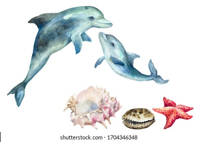 Set of dolphin with cub and shells, starfish on a white background, hand drawn watercolor illustration.