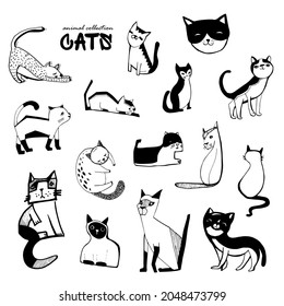 Set Of Drawn Cats. Silhouettes Of Kittens. Drawing Of Pets. Small Pets. Animals Of The Village And City. Ink Drawing