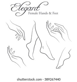 Set of elegant silhouettes in a linear sketch style (female hands and feet). Design elements for skin care industry