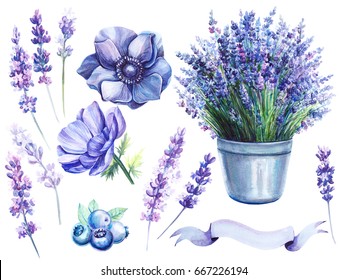 A Set Of Elements, Anemones, Berries. Bouquet Of Wildflowers, Lavender In A Bucket, Watercolor Hand Drawing, Illustration