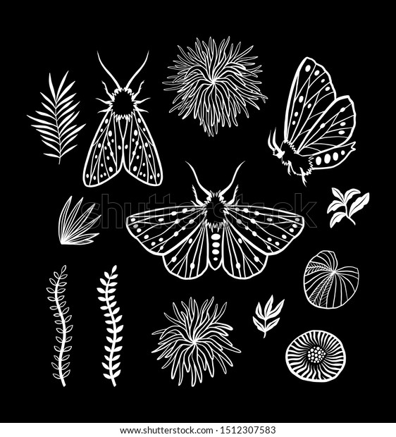 Set Elements Moths Night Garden Witchs Stock Illustration 1512307583