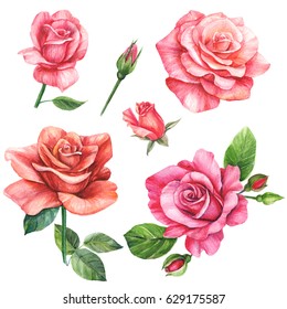 Set Of Elements, Roses Greeting Card Watercolor