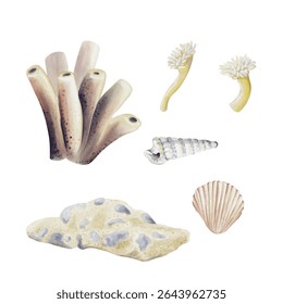  Set elements from