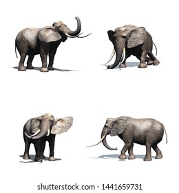 Set Elephant Different Movements Shadow On Stock Illustration 1441659731