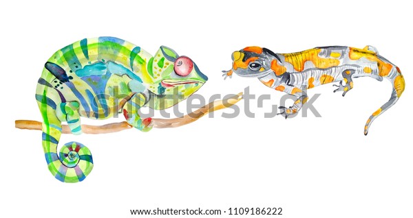 set-exotic-animals-salamanders-chameleon-600w-1109186222.jpg