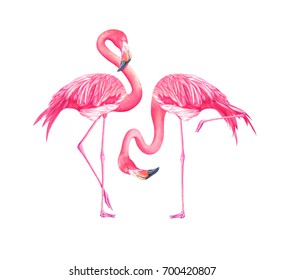Set of exotic flamingos isolated on white background. Hand drawn watercolor illustration.