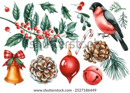 Set festive Christmas elements, winter clipart isolated on background drawn watercolor. Bullfinch, holly, cone and bells