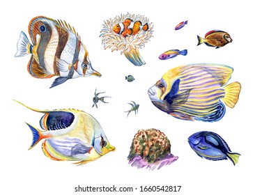 Set Of Fish And Inhabitants Of The Seabed: Butterfly Fish, Clown Fish, Sea Anemone, Angel Fish, Chocolate Surgeon, Blue Surgeon, Watercolor Painting Isolated On White Backgroundtion.