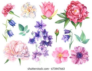 Set Flowers bells  lotus  dog rose  White Rose  Carnations  peony   anemone watercolor  hand drawing