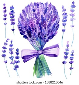 Set Flowers Bouquet Lavender On Isolated Stock Illustration 1588215046 ...