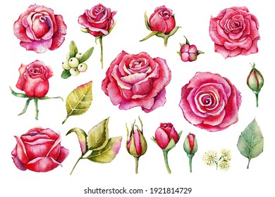 White Rose Clipart High Res Stock Images Shutterstock White Rose Clipart High Res Stock Images Shutterstock