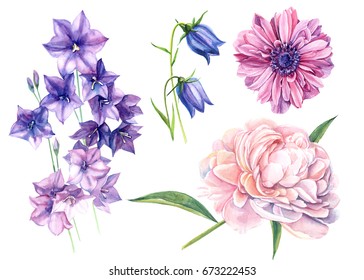 Large Set Watercolors Tender Roses Super Stock Illustration 1633036447 ...