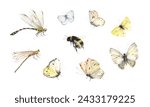 Set of flying insects, watercolor isolated collection with butterflies, dragonflies and bumblebee, hand painting design elements beautiful colorful insects.