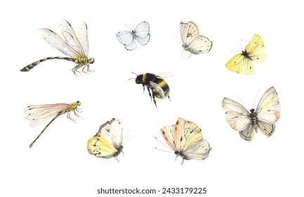 Set of flying insects, watercolor isolated collection with butterflies, dragonflies and bumblebee, hand painting design elements beautiful colorful insects.