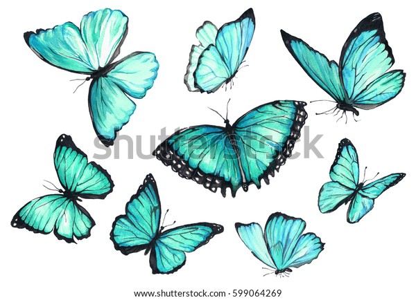 Set Flying Turquoise Butterflies Watercolor Illustration Stock Illustration