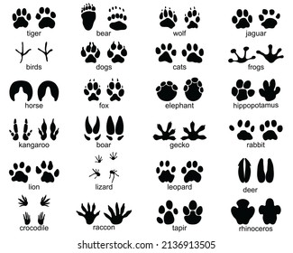 628 Kangaroo tracks Images, Stock Photos & Vectors | Shutterstock