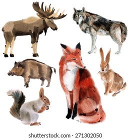 Set Of Forest Animals. Watercolor Illustration In White Background.