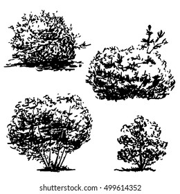 40,026 Bush sketch Images, Stock Photos & Vectors | Shutterstock