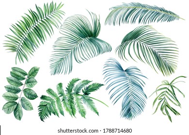 Set Of Green Palm Leaves On Isolated White Background, Watercolor Botanical Illustration, Summer Clipart, Hand Drawing