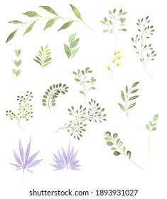 Set of green watercolor twigs for design of postcards celebrate holiday. Watercolor hand draw  Illustration.