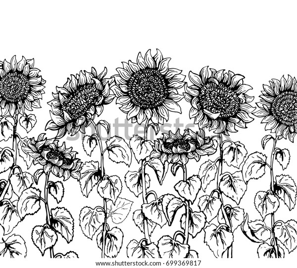 Download Gambar Wallpaper Black and White Sunflower terbaru 2020