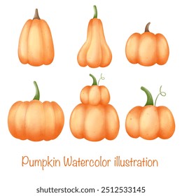 Set of hand drawn illustration  Pumpkin.Watercolor  illustration of plant elements for design. Autumn season, happy fall.Watercolor sunflower  isolated on white background. - Powered by Shutterstock