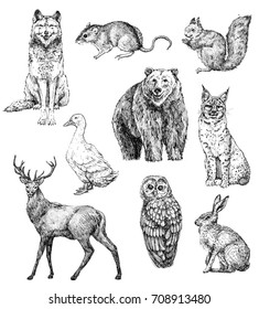 Set Hand Drawn Ink Animalswolf Harvest Stock Illustration 708913480 ...