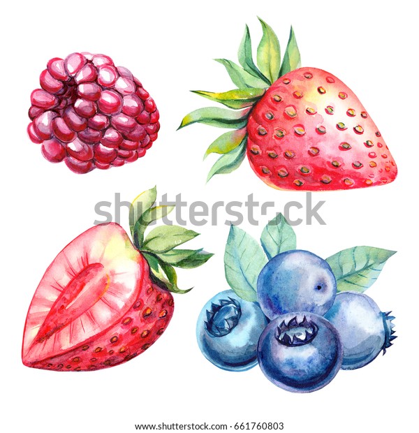 Suchen Sie Nach Handgezeichnete Beeren Mit Wasserfarbe Himbeere Erdbeeren Stockbildern In Hd Und Millionen Weiteren Lizenzfreien Stockfotos Illustrationen Und Vektorgrafiken In Der Shutterstock Kollektion Jeden Tag Werden Tausende Neue