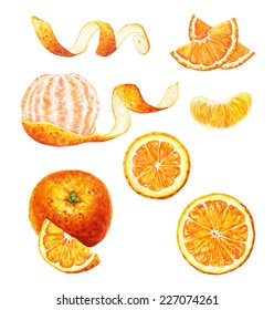 Set of hand drawn watercolor mandarins and oranges: sliced and peeled.