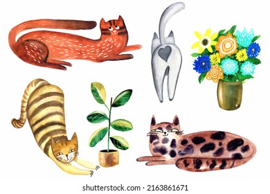 Set of hand drawn watercolor tabby cat, ginger cat, white cat standing backwards, spotted cat, bouquet of abstract flowers in vase, ficus. - Powered by Shutterstock