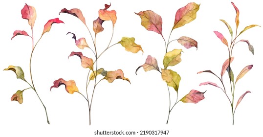 Set Of Hand Painted Watercolor Autumn Leaves. Realistic Botany Withered Colorful Leaves On White Background