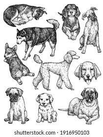 145,255 Sketch Of Dog Images, Stock Photos & Vectors | Shutterstock