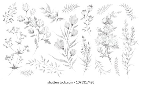 Featured image of post Pencil Drawing Images Flowers / Best regard veri apriyatno (admin).