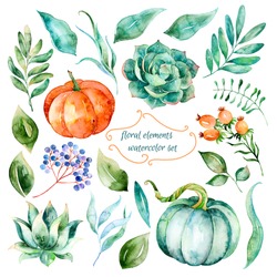 Set Of High Quality Hand Painted Watercolor Elements For Your Design.Watercolor Pumpkins,leaves,berries,succulents,branch.Perfect For Your Project,wedding Invitation,greeting Card,photos,blogs,wreaths
