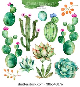 Set of high quality hand painted watercolor elements for your design with succulent plants,cactus and more.Perfect for your project,wedding,greeting card,photos,blogs,wreaths,pattern and more