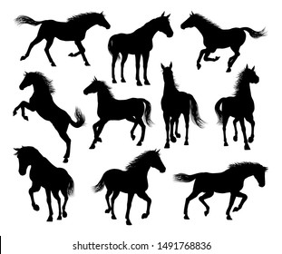 A set of horse animal detailed silhouette graphics