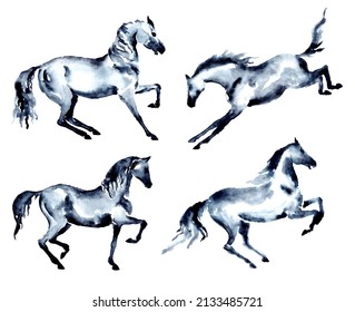 Set of horse. Trotting, rearing up, kicking, piaffe, passage motion. Watercolor or ink hand painting stallion. Beautiful hand drawing equestrian silhouette on white. Equine art artistic brush stroke